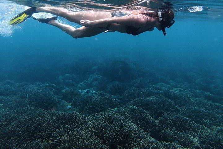Exclusieve privé-ervaring : 5 geheime Gili-eilanden