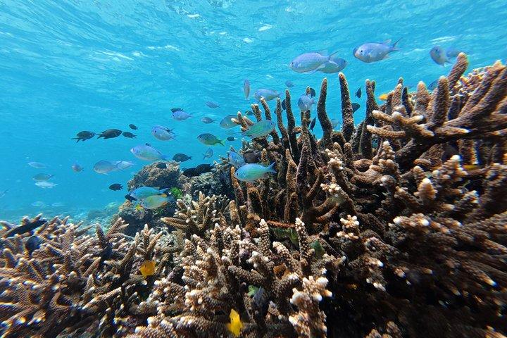 限定プライベート体験：秘密のギリ諸島5島