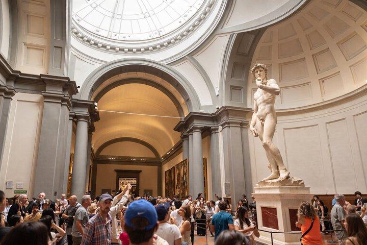Tour sin colas a la Galería de la Academia con guía experto en arte