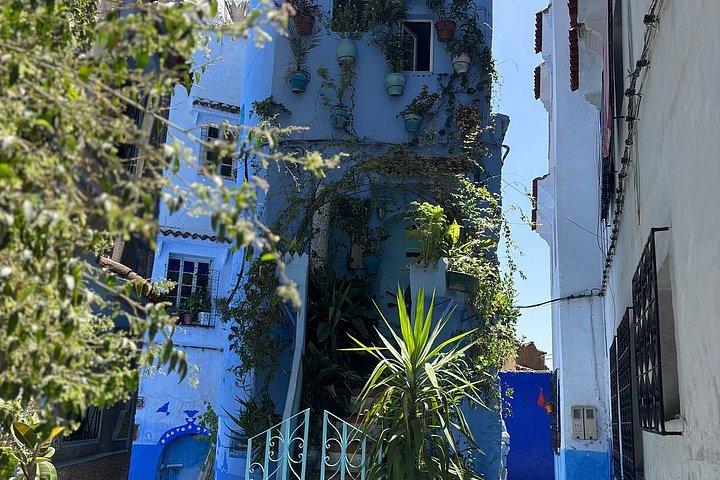 地元の専門家と一緒にフェズからシェフシャウエンへの日帰り旅行