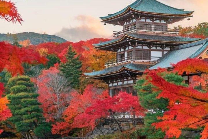 Tour privato del Giappone di 4 giorni (Tokyo, Monte Fuji, Nikko, Kamakura)