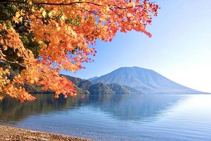 プライベート日本ツアー4日間（東京・富士山・日光・鎌倉）