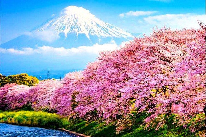プライベート日本ツアー4日間（東京・富士山・日光・鎌倉）