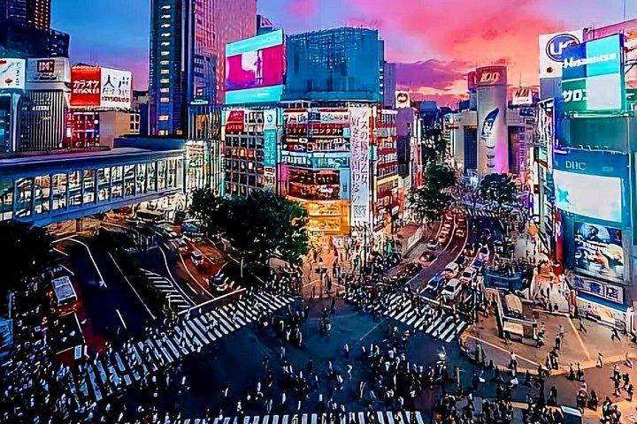 プライベート日本ツアー4日間（東京・富士山・日光・鎌倉）