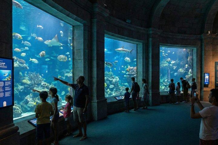 Entdecken Sie Monaco auf einer selbstgeführten Tagestour