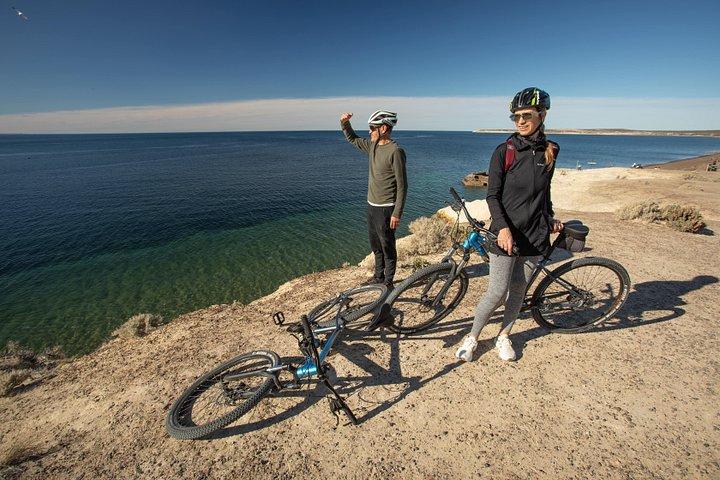 プエルト マドリン、プンタ クエバスの自転車ツアー