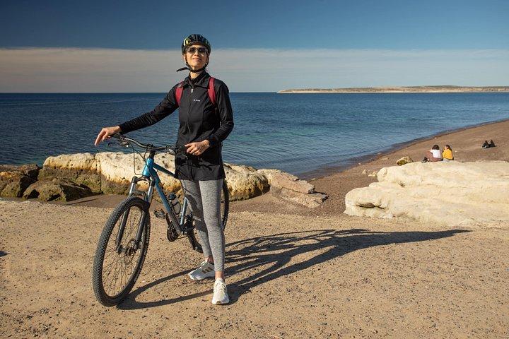 プエルト マドリン、プンタ クエバスの自転車ツアー