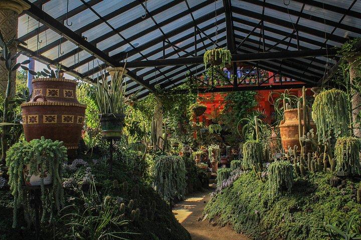 プエルトバジャルタのバヤルタ植物園とテキーラの試食