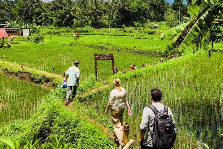 Exclusive Private Lombok Car Hire & Customized Tour