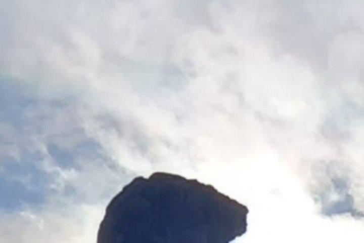 Skip the line toegangsticket voor de Accademia Gallery