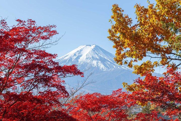 富士山五合目忍野八海と御殿場アウトレットアドベンチャー