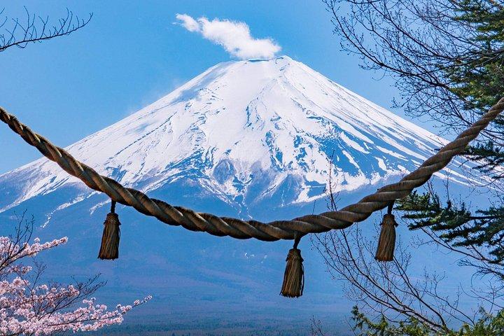 富士山五合目忍野八海と御殿場アウトレットアドベンチャー
