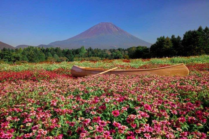 富士山五合目忍野八海と御殿場アウトレットアドベンチャー