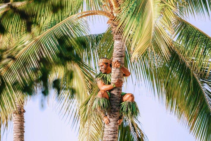 Oahu : Ka Moana Lūʻau à la tour Aloha – Oceanfront Luau Show