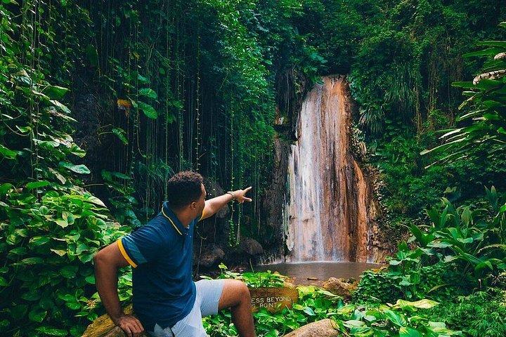 Wellness Tour With Natural Spring and Mud Baths Including Lunch