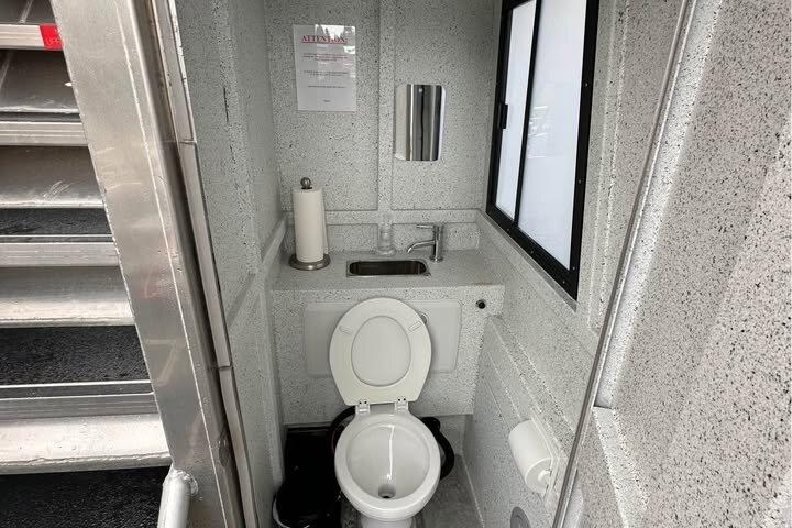 クジラとランチ! ケチカンのプレミア海洋哺乳類観察ツアー