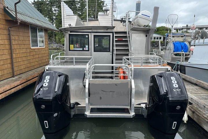クジラとランチ! ケチカンのプレミア海洋哺乳類観察ツアー
