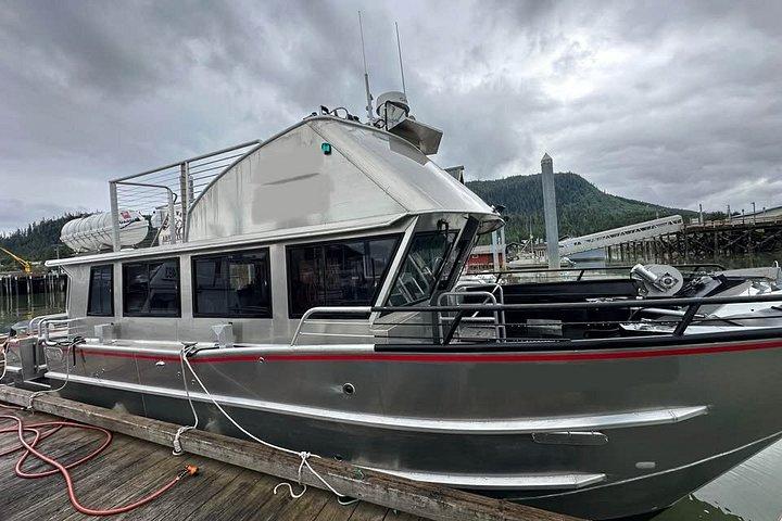 クジラとランチ! ケチカンのプレミア海洋哺乳類観察ツアー