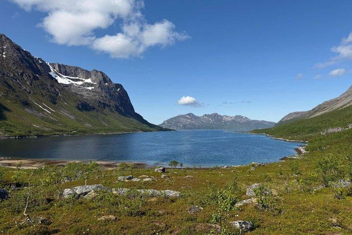 Tromsø : 北極フィヨルド＆島々観光ツアー — 小グループ