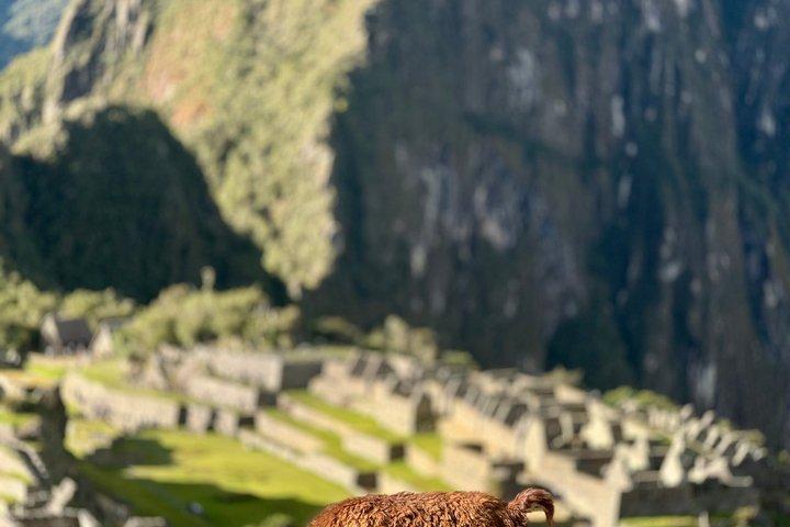 MACHU PICCHU: Privégidsservice van 3 uur