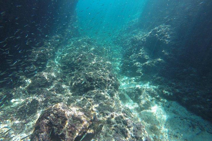 Blue & Green Cave,Sunj beach Small Group Tour with Speedboat