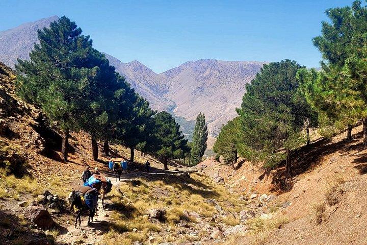 Marrakech 2 Day Small Group Guided Imlil Hiking Tour