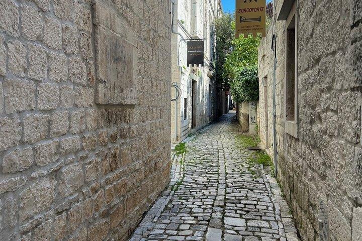 Tour privato specializzato per gli ospiti delle navi da crociera: Trogir & Split