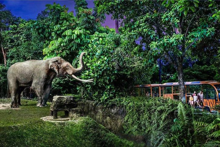 Nachtsafari Singapur Tickets mit Straßenbahnfahrt Erlebnis