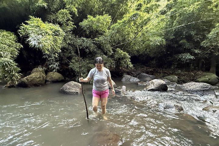 Hike for Longevity & Nature Connection