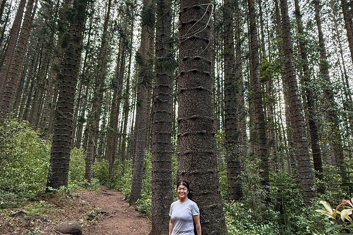 Hike for Longevity & Nature Connection
