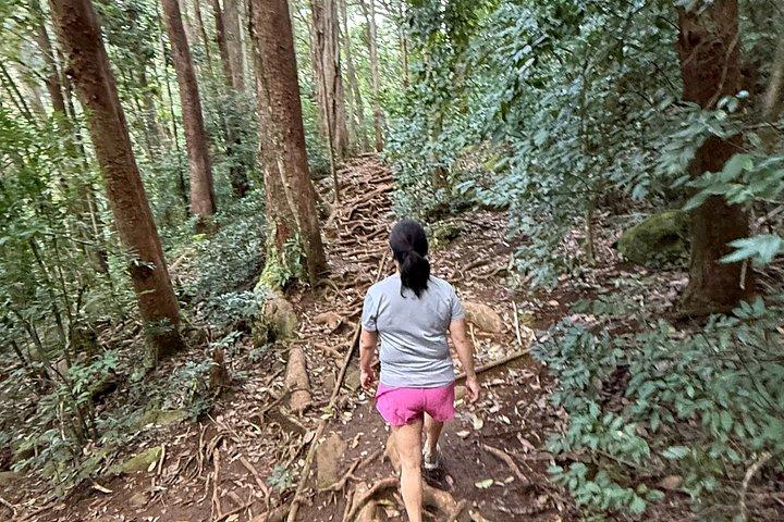 Hike for Longevity & Nature Connection