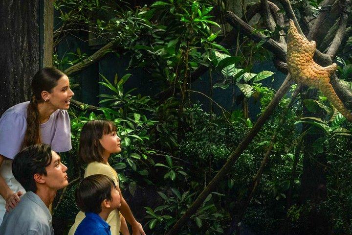 Nachtsafari Singapur Tickets mit Straßenbahnfahrt Erlebnis