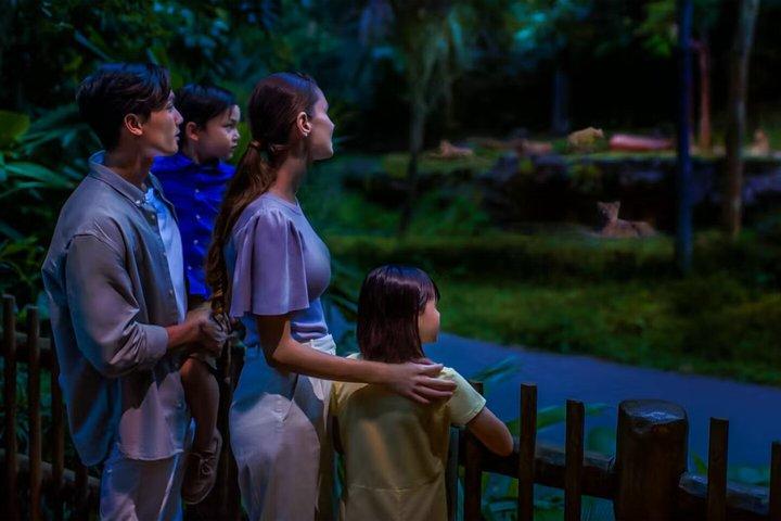 Nachtsafari Singapur Tickets mit Straßenbahnfahrt Erlebnis