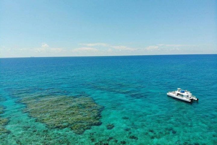 Key West: Delfinskådningskryssning och snorkling obegränsat med öl och läsk
