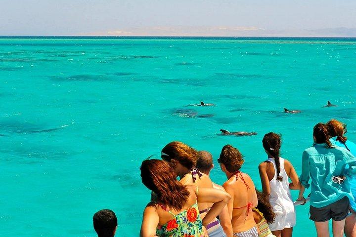 Key West: Dolphin Watching cruise & Snorkeling unlimited beer & soda