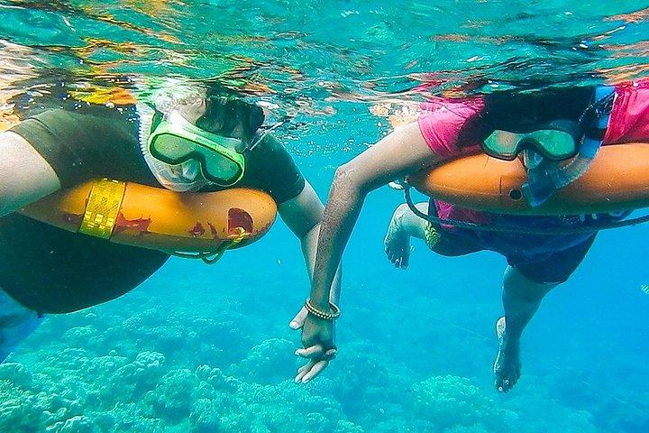 Key West: Dolphin Watching cruise & Snorkeling unlimited beer & soda