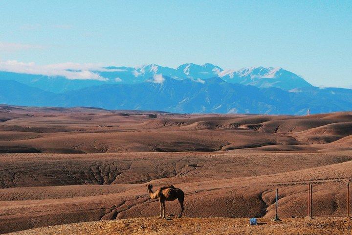 Agafay Desert Sunset Experience Camel Ride Quad und Dinner Show