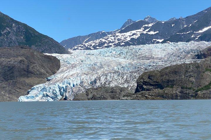 Baleia observando com um olhar no glaciar Mendenhall