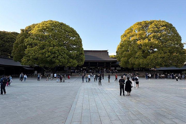原宿・明治神宮文化散策ツアー東京