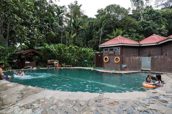 Kinabalu Park & Poring Hot Spring Tour