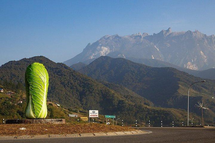 Kinabalu Park & Poring Hot Spring Tour