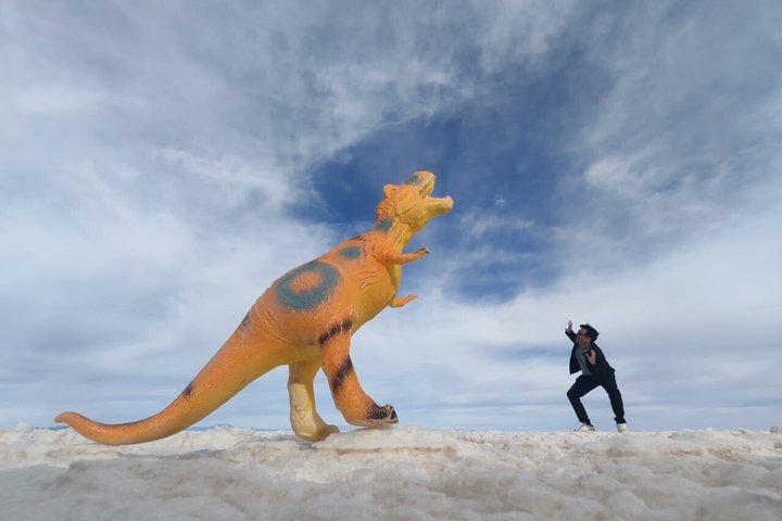 Salar de Uyuni Tour 1 Tag Spanisch Reiseleiter Sonnenuntergangsspiegelungen