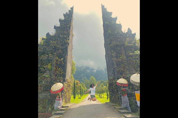 [オールインクルーシブ]バリ島北部1日プライベートガイドツアー