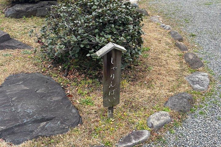 東京文化財庭園 幕府から近代日本へ