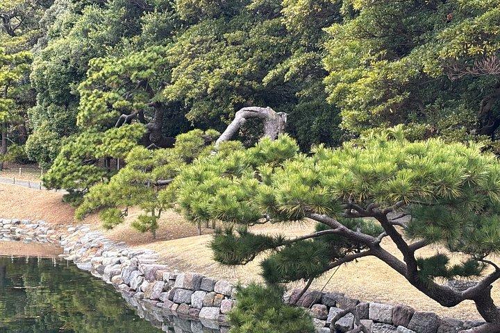 東京文化財庭園 幕府から近代日本へ