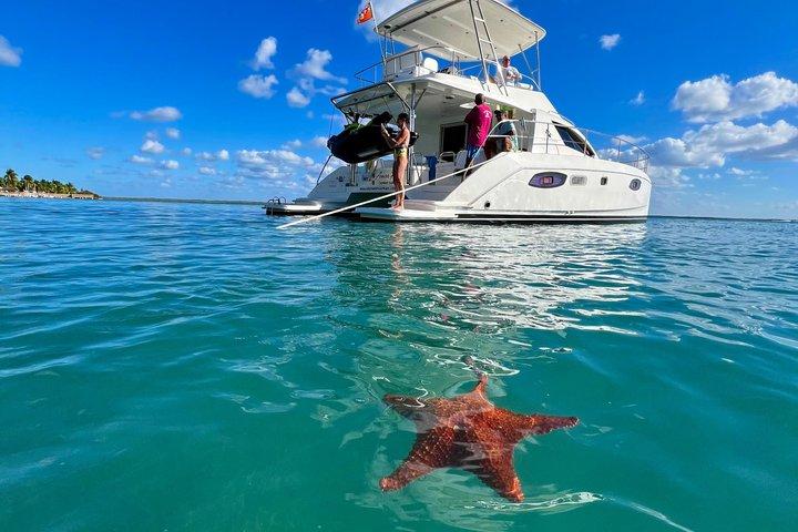 Cayman Private luxury Catamaran Experience 41’ Leopard