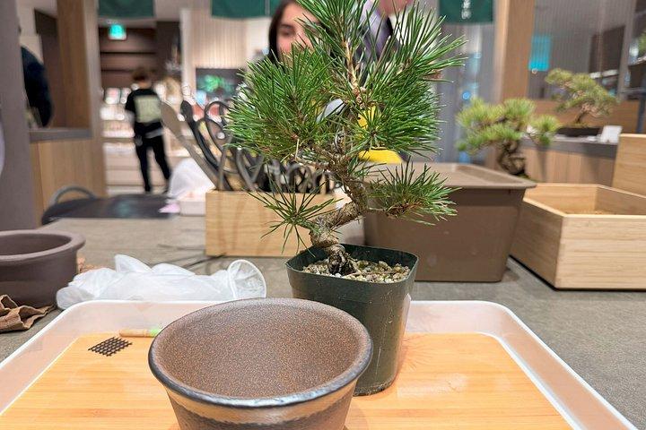 Authentic Bonsai Art Workshop in Tokyo