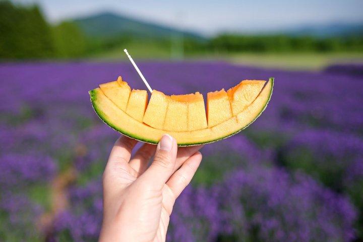 【札幌発 】 「 美瑛日帰りツアー」おすすめ5選