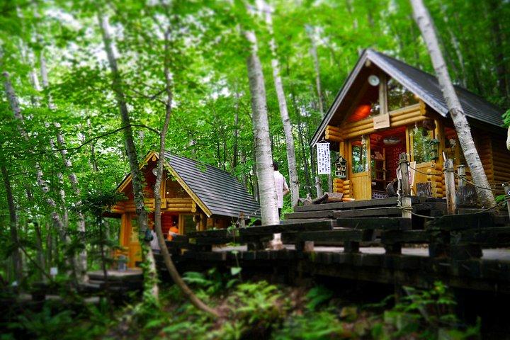 札幌からの美瑛の季節のハイライト日帰り旅行