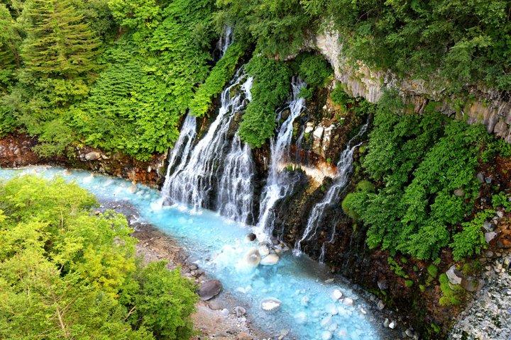 【札幌発 】 「 美瑛日帰りツアー」おすすめ5選